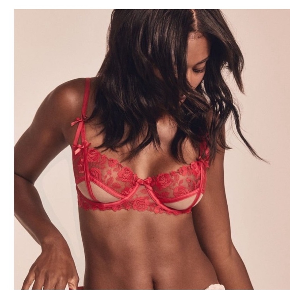 NWT For Love & Lemons Victoria’s Secret Rose Petal Bra size XL